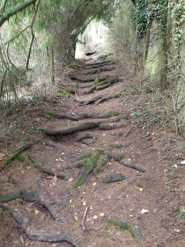 20130309-223225.jpg